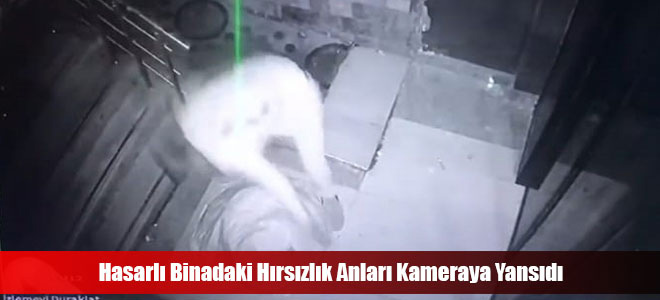 Hasarlı Binadaki Hırsızlık Anları Kameraya Yansıdı