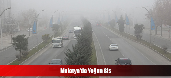 Malatya'da Yoğun Sis