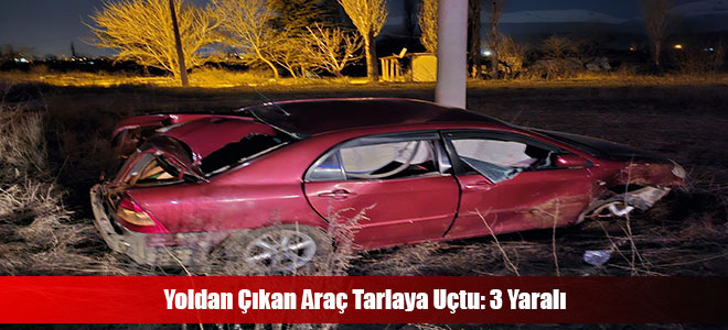 Yoldan Çıkan Araç Tarlaya Uçtu: 3 Yaralı