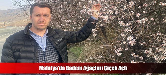 Malatya’da Badem Ağaçları Çiçek Açtı