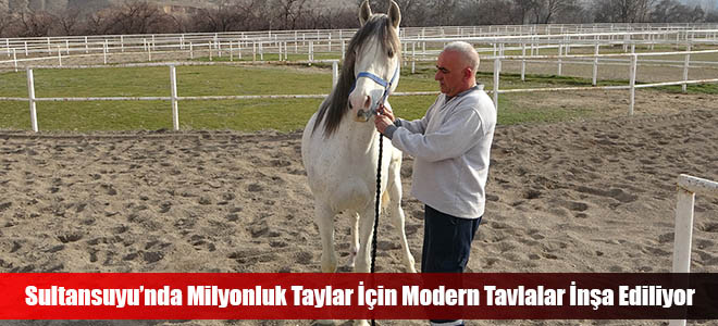 Sultansuyu’nda Milyonluk Taylar İçin Modern Tavlalar İnşa Ediliyor