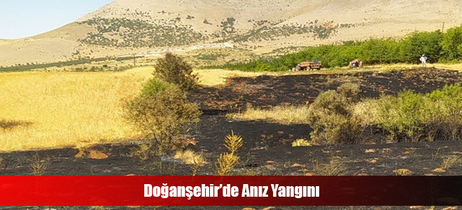 Doğanşehir’de Anız Yangını