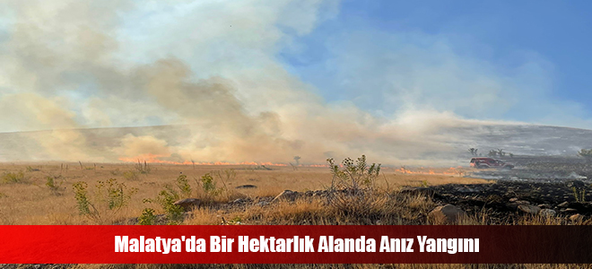 Malatya'da Bir Hektarlık Alanda Anız Yangını