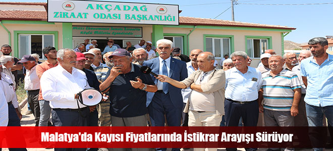 Malatya'da Kayısı Fiyatlarında İstikrar Arayışı Sürüyor