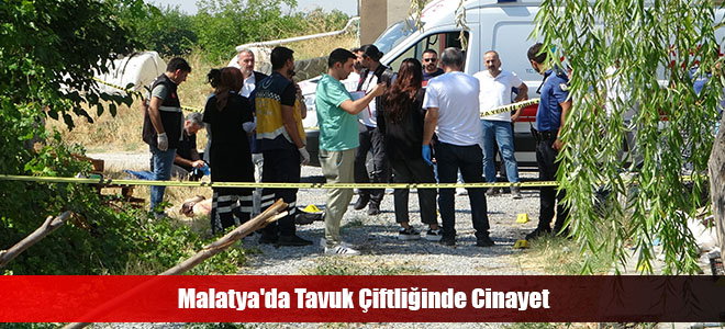 Malatya'da Tavuk Çiftliğinde Cinayet