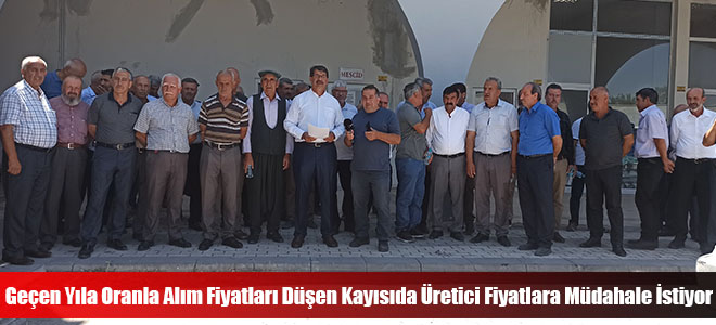 Geçen Yıla Oranla Alım Fiyatları Düşen Kayısıda Üretici Fiyatlara Müdahale İstiyor