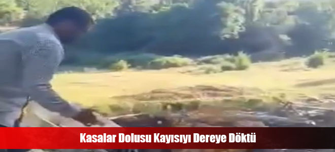 Kasalar Dolusu Kayısıyı Dereye Döktü