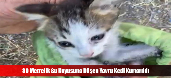 30 Metrelik Su Kuyusuna Düşen Yavru Kedi Kurtarıldı