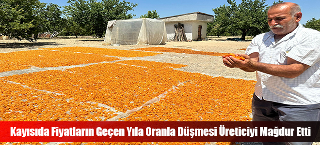 Kayısıda Fiyatların Geçen Yıla Oranla Düşmesi Üreticiyi Mağdur Etti