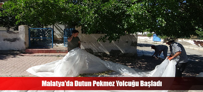 Malatya'da Dutun Pekmez Yolcuğu Başladı