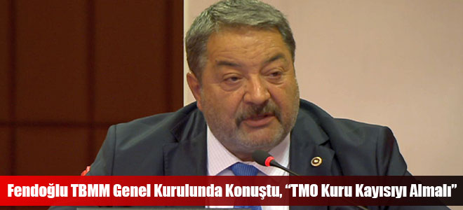 Fendoğlu TBMM Genel Kurulunda Konuştu, “TMO Kuru Kayısıyı Almalı”