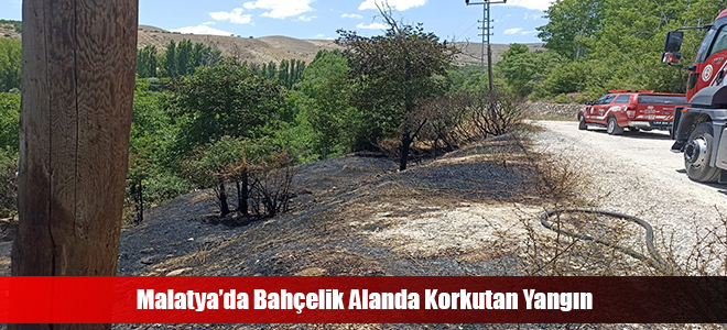 Malatya’da Bahçelik Alanda Korkutan Yangın