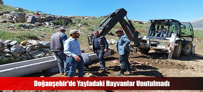 Doğanşehir'de Yayladaki Hayvanlar Unutulmadı